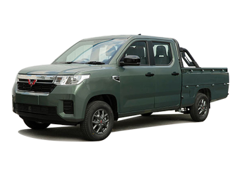 CN110P - Wuling Zhengtu