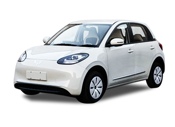 E260 - Wuling Bingo