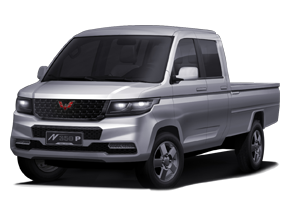 N350P - Wuling Rongguang New Card