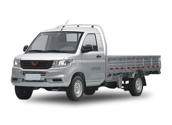 N350PEV - Wuling Rongguang New Card (Electric Version)